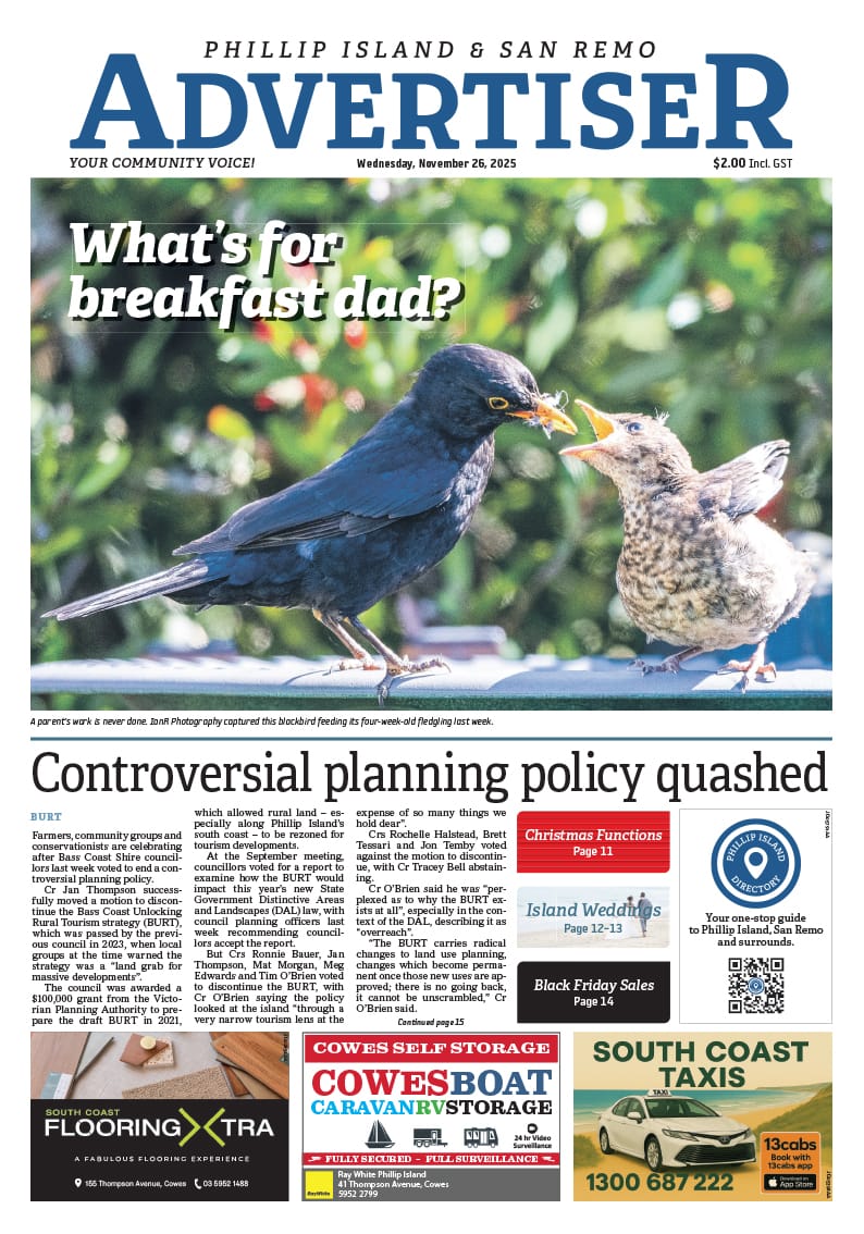 Wednesday, November 26, 2025