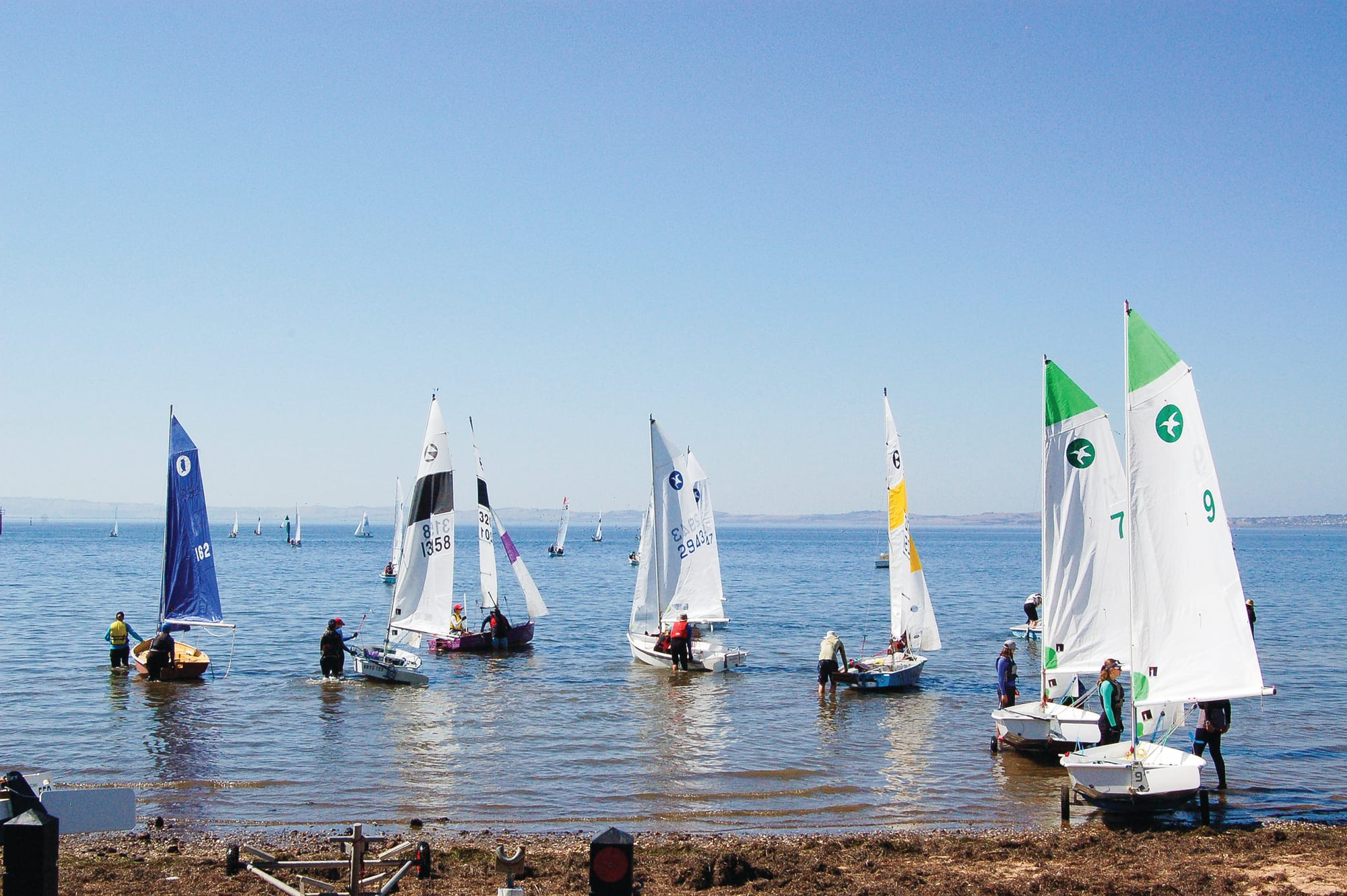 She sails program