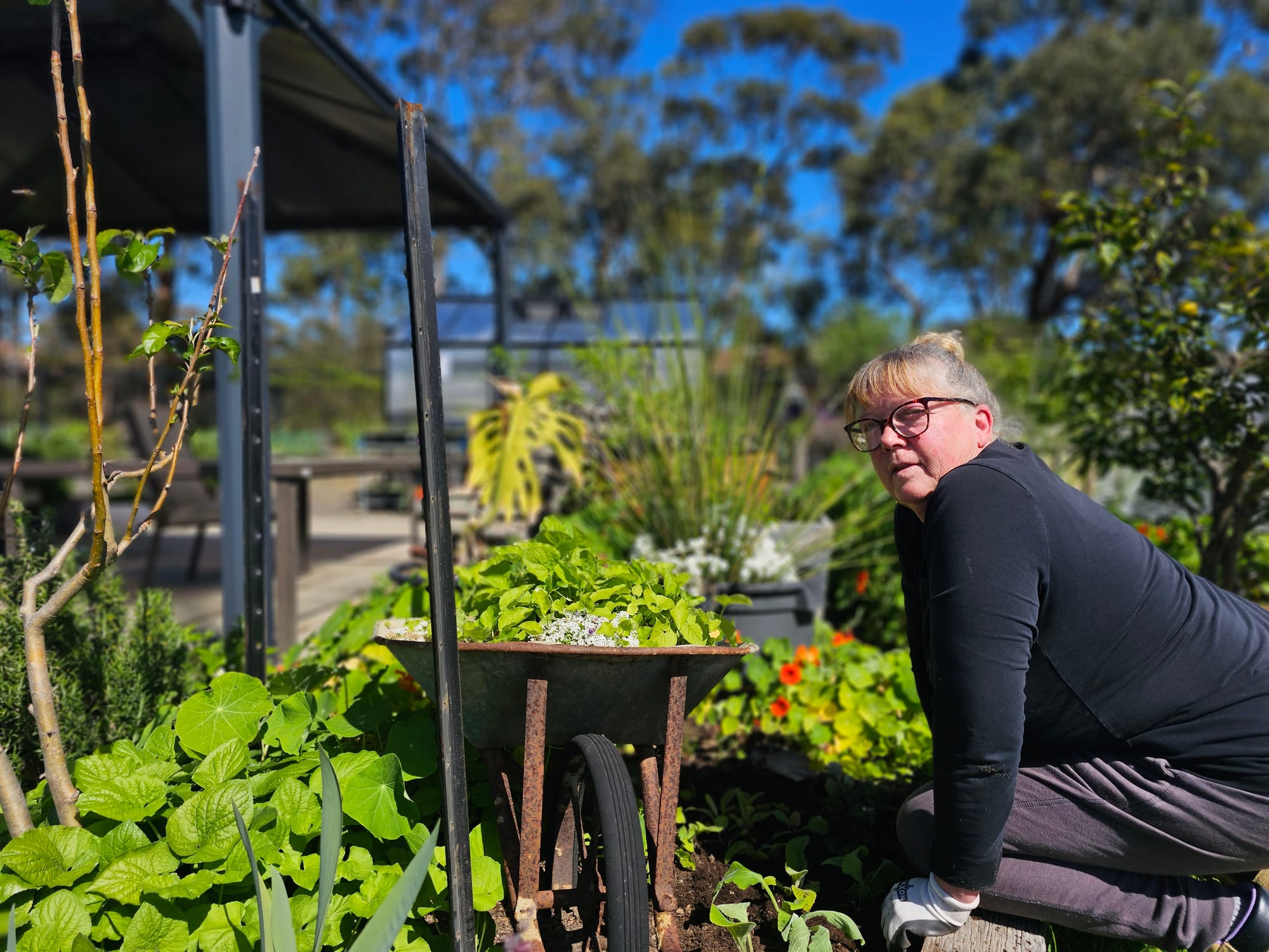 PICAL Garden Open Day