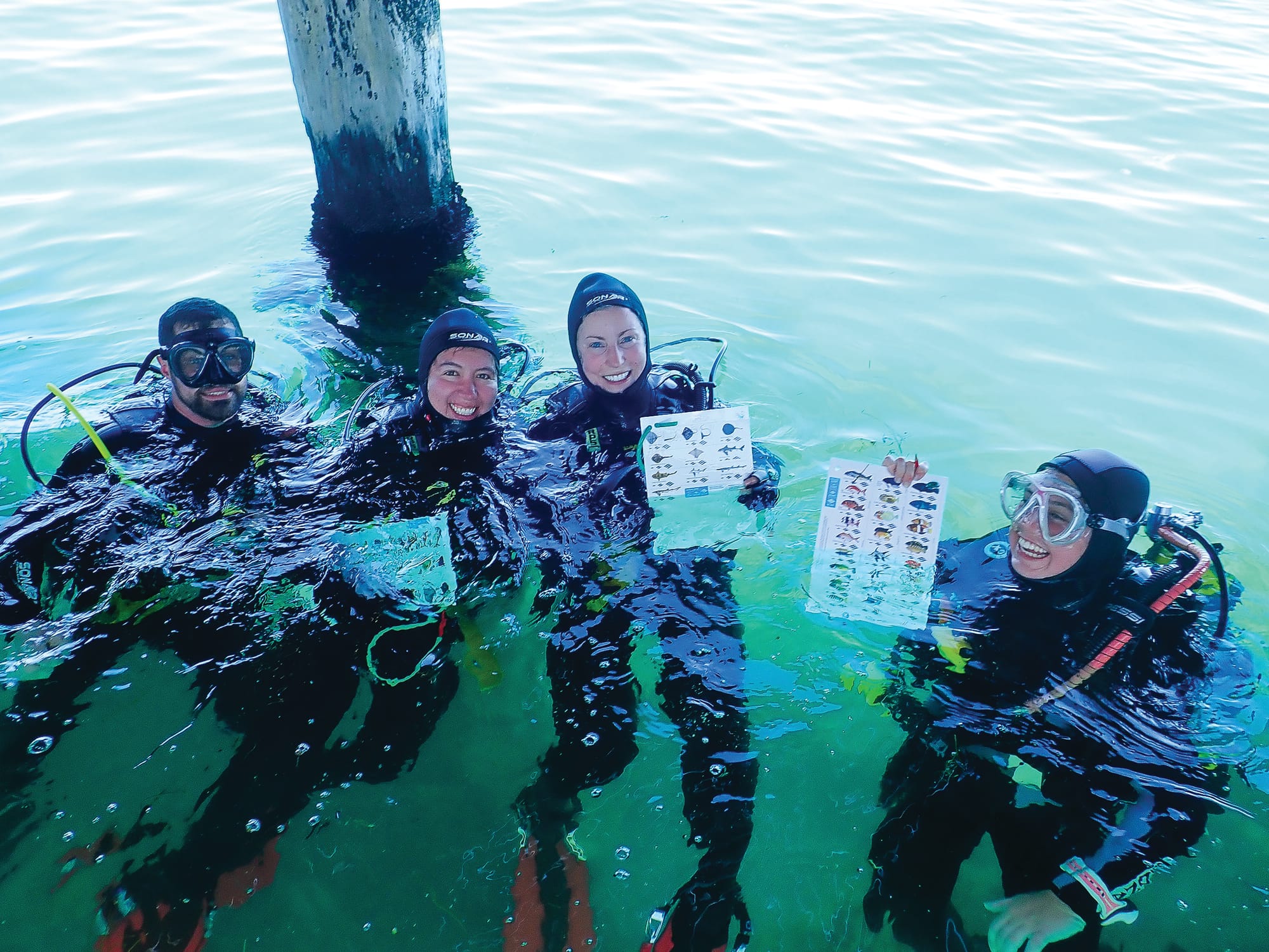 Free marine talk in Cowes