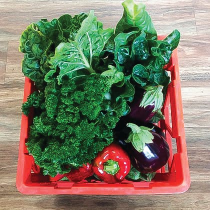 Sustainability Festival reimagined