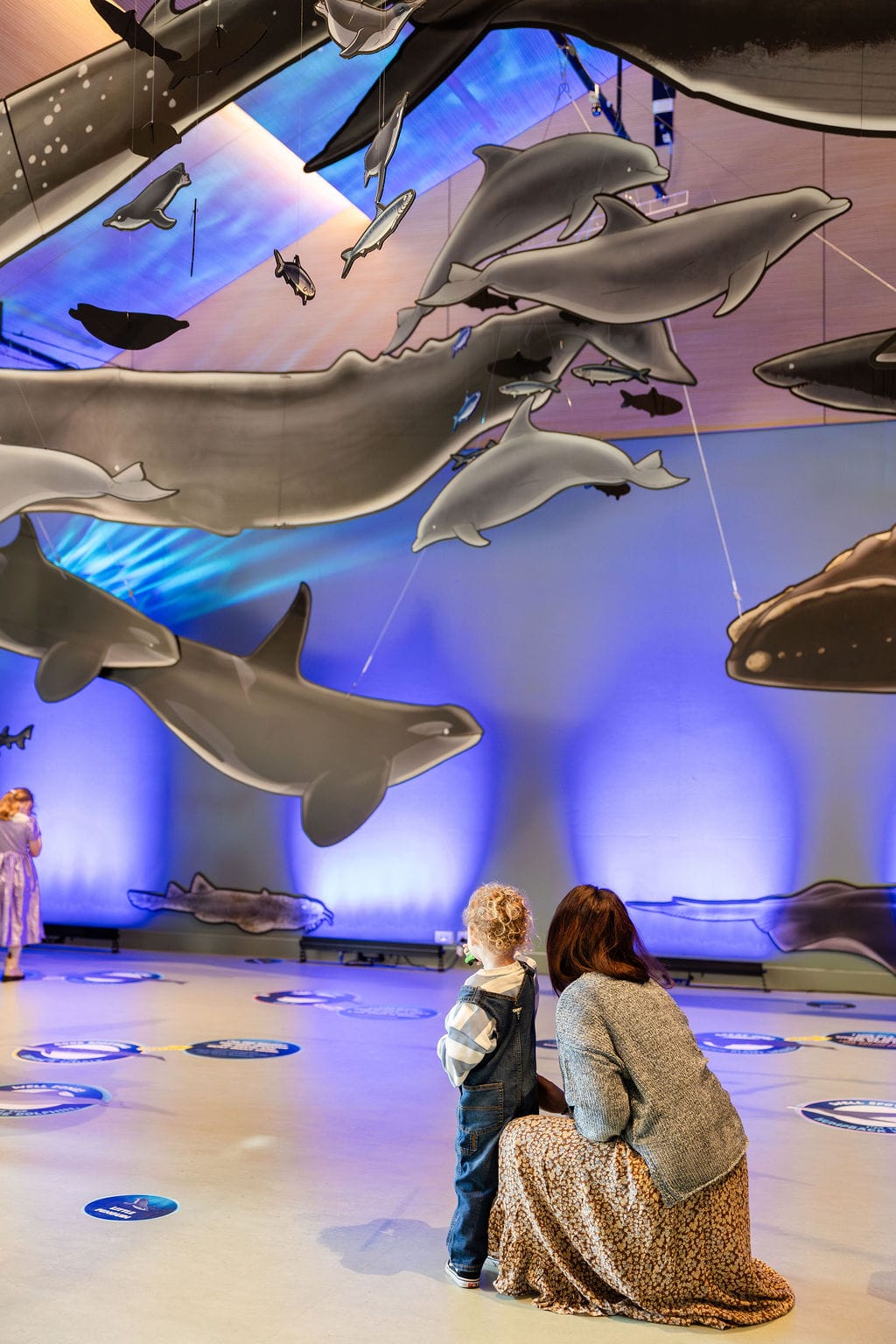 Whale Festival in running for award