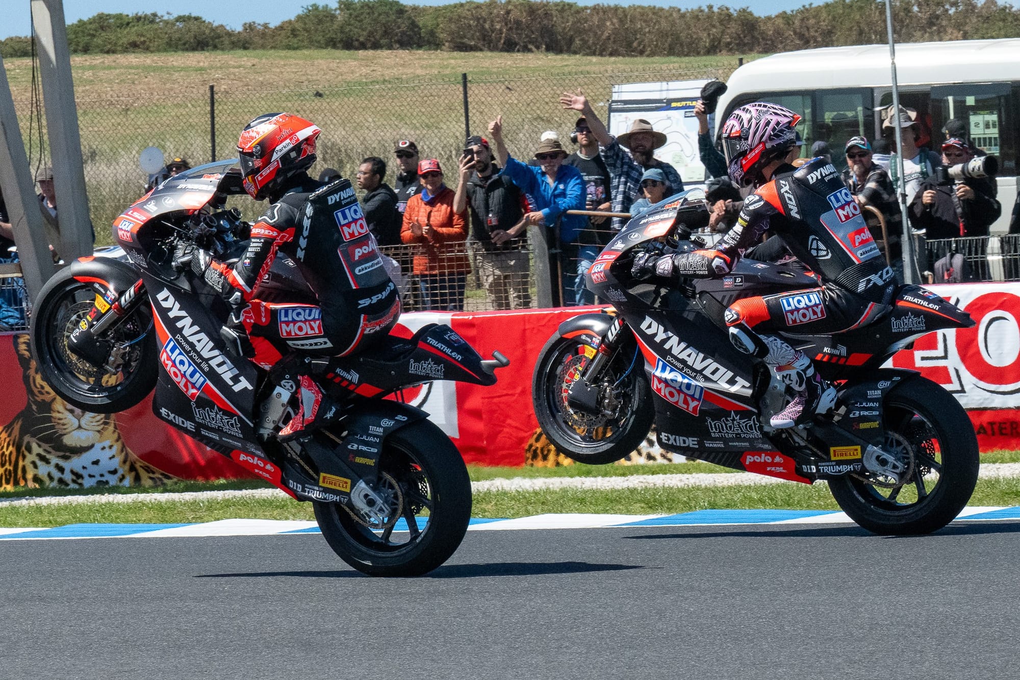 Aussie rider Senna Agius (81) in a double wheelie celebration with teammate Manuel Gonzalez (18) on Saturday.  Photo: IanR Photography.