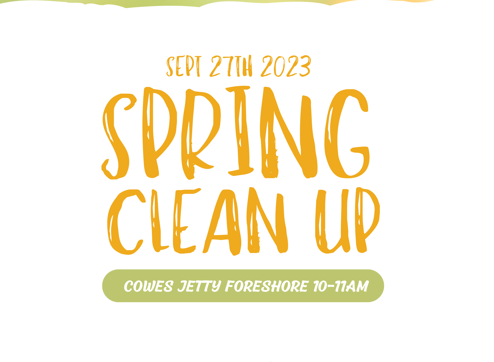 Spring Clean Up
