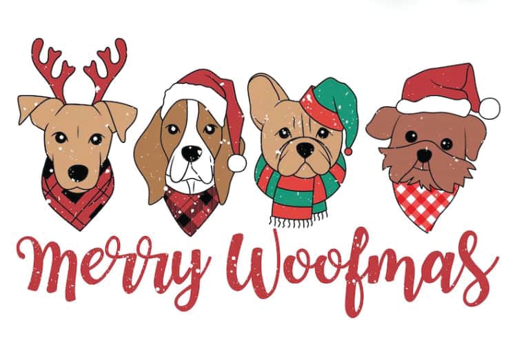 Christmas Walk - Phillip Island Bass Coast Dog Owners Association