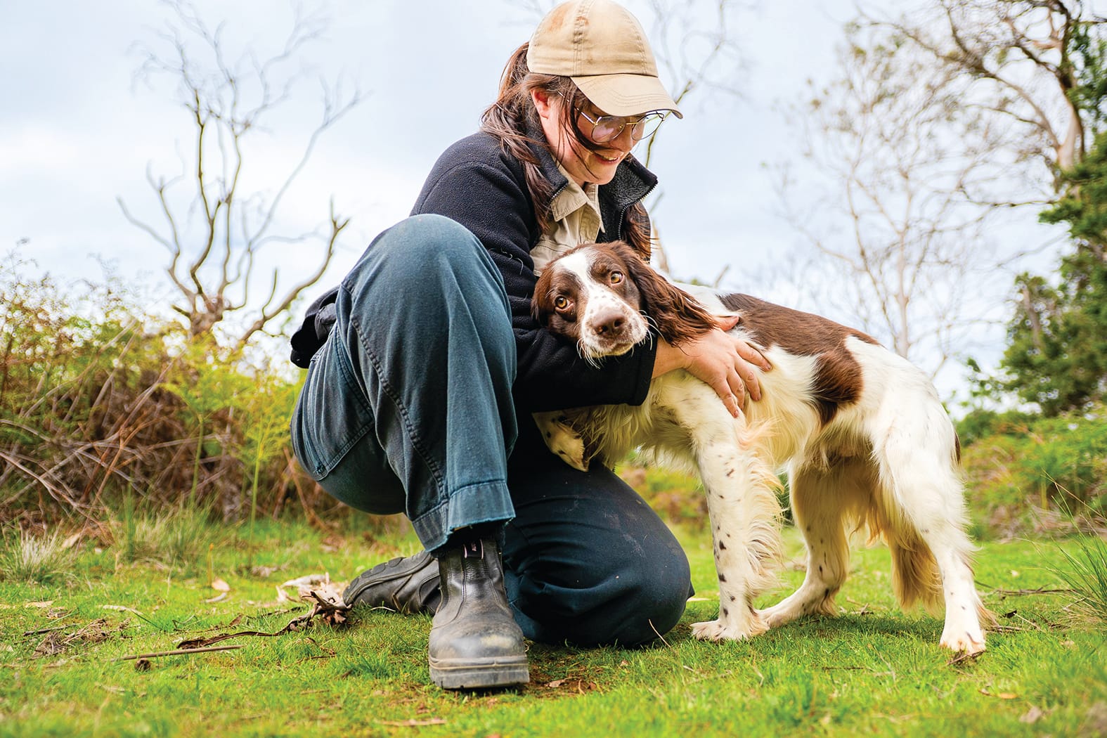 Conservation dogs expanded to keep island fox-free