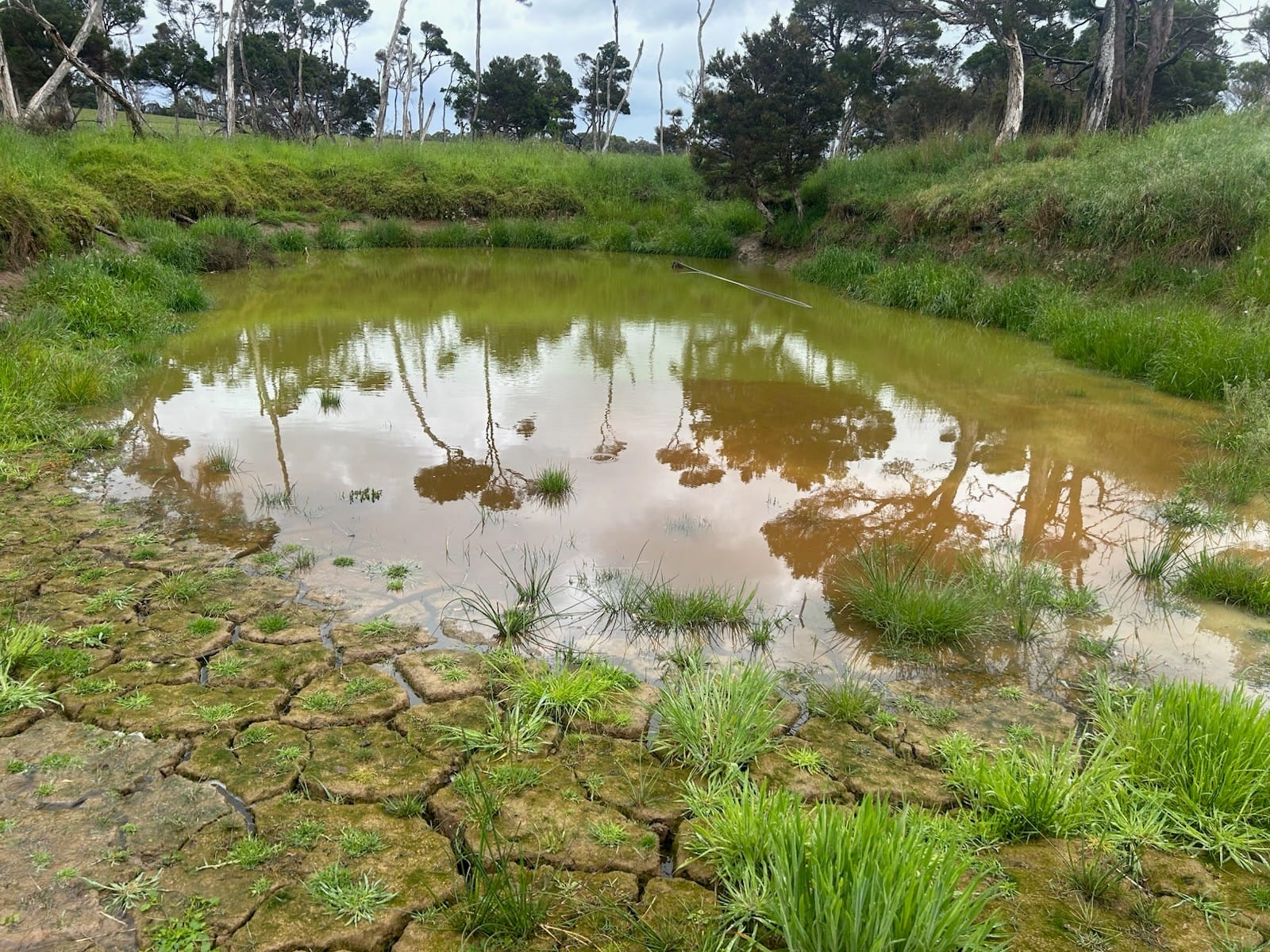 Thank the heavens, rain revives water supplies