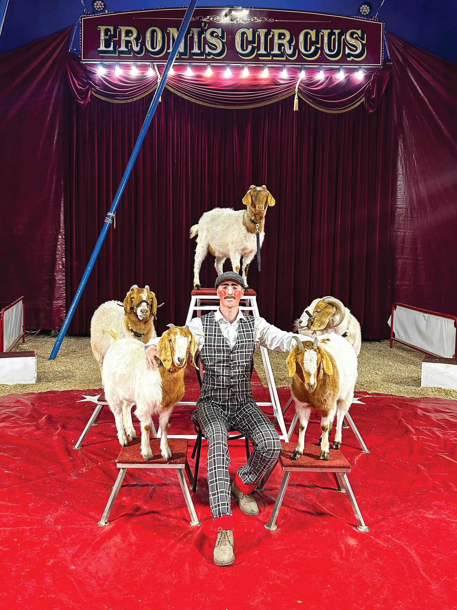 Circus brings glamour and excitement
