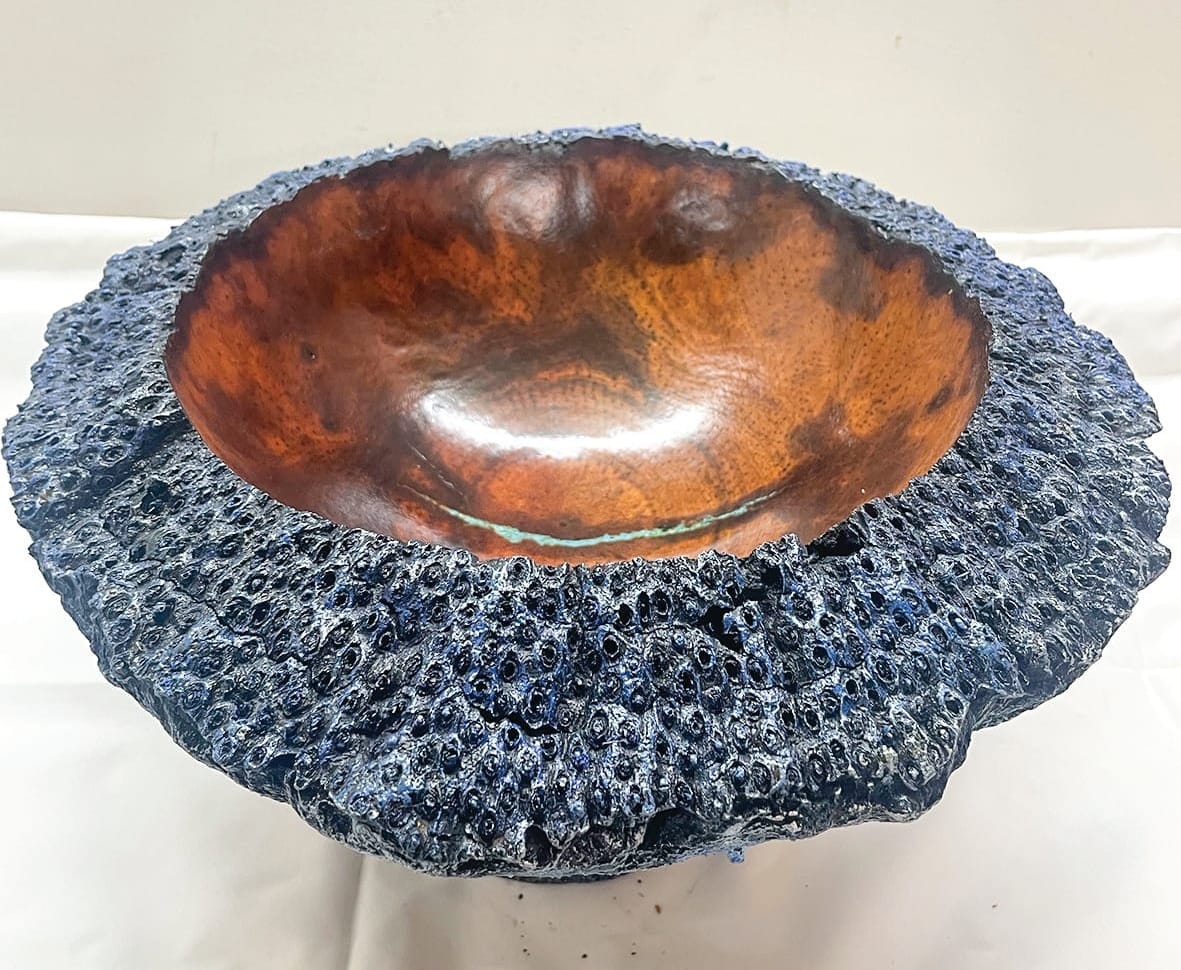 Last chance to experience Contempora 2