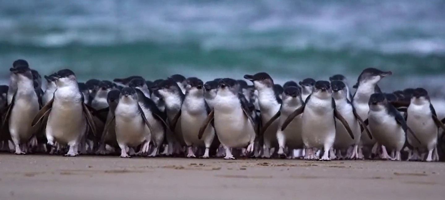 Our annual bumper summer quiz