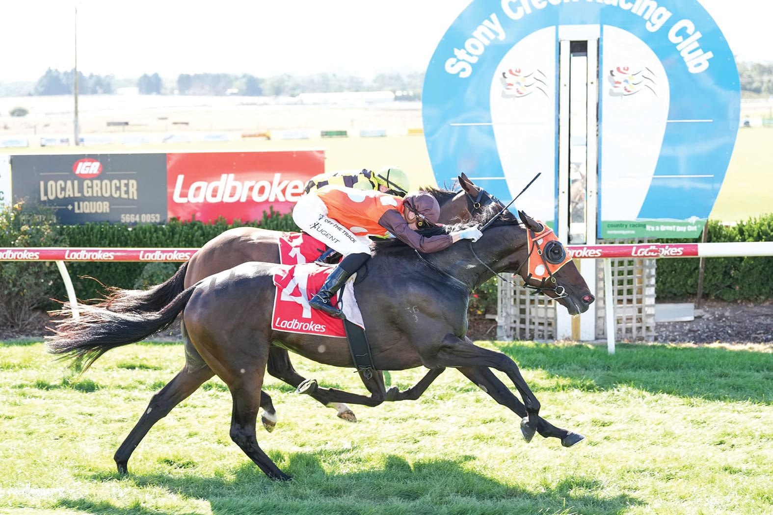 Ladbrokes Stony Creek Cup Day returns