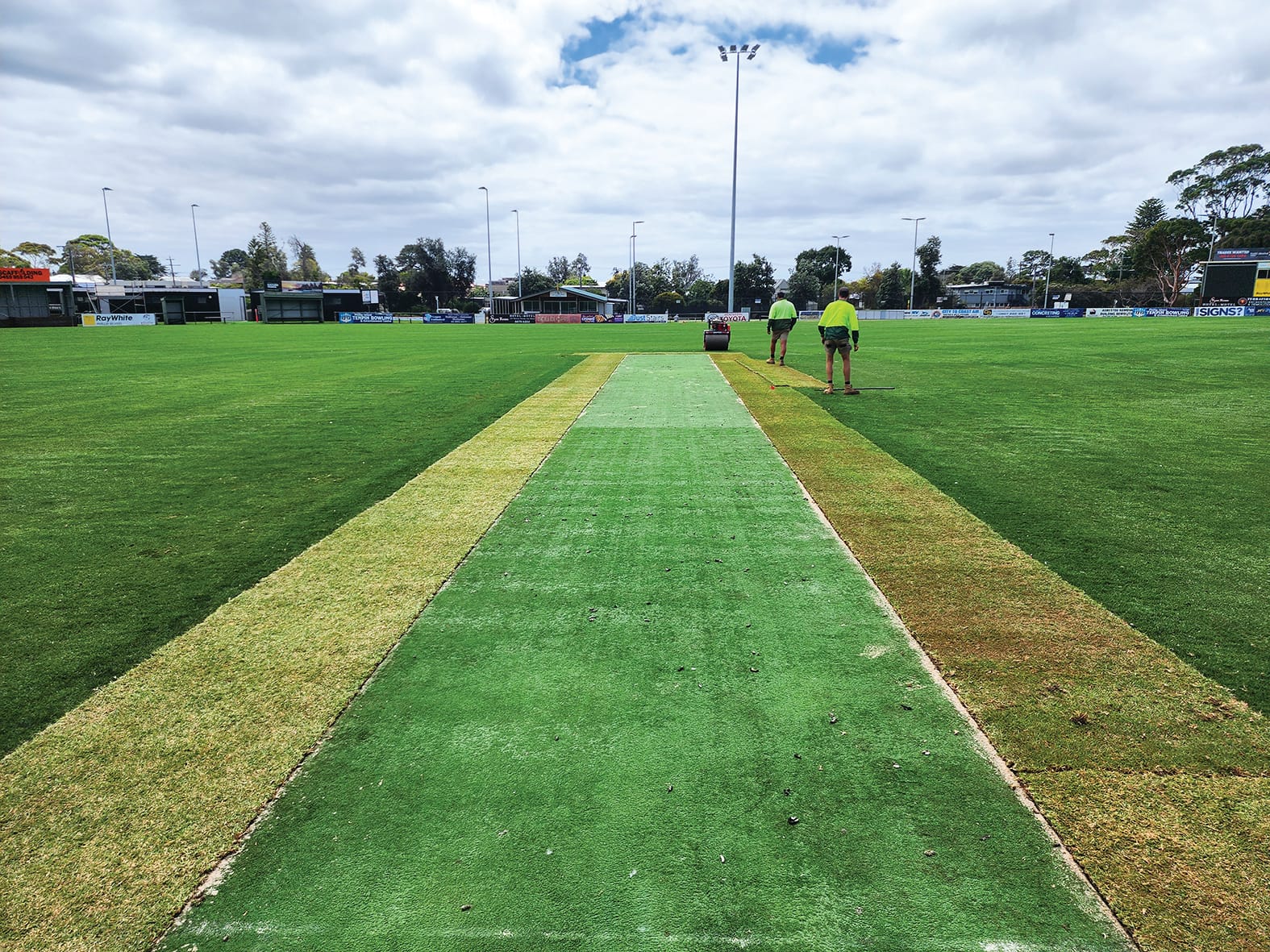 Grass is still greener