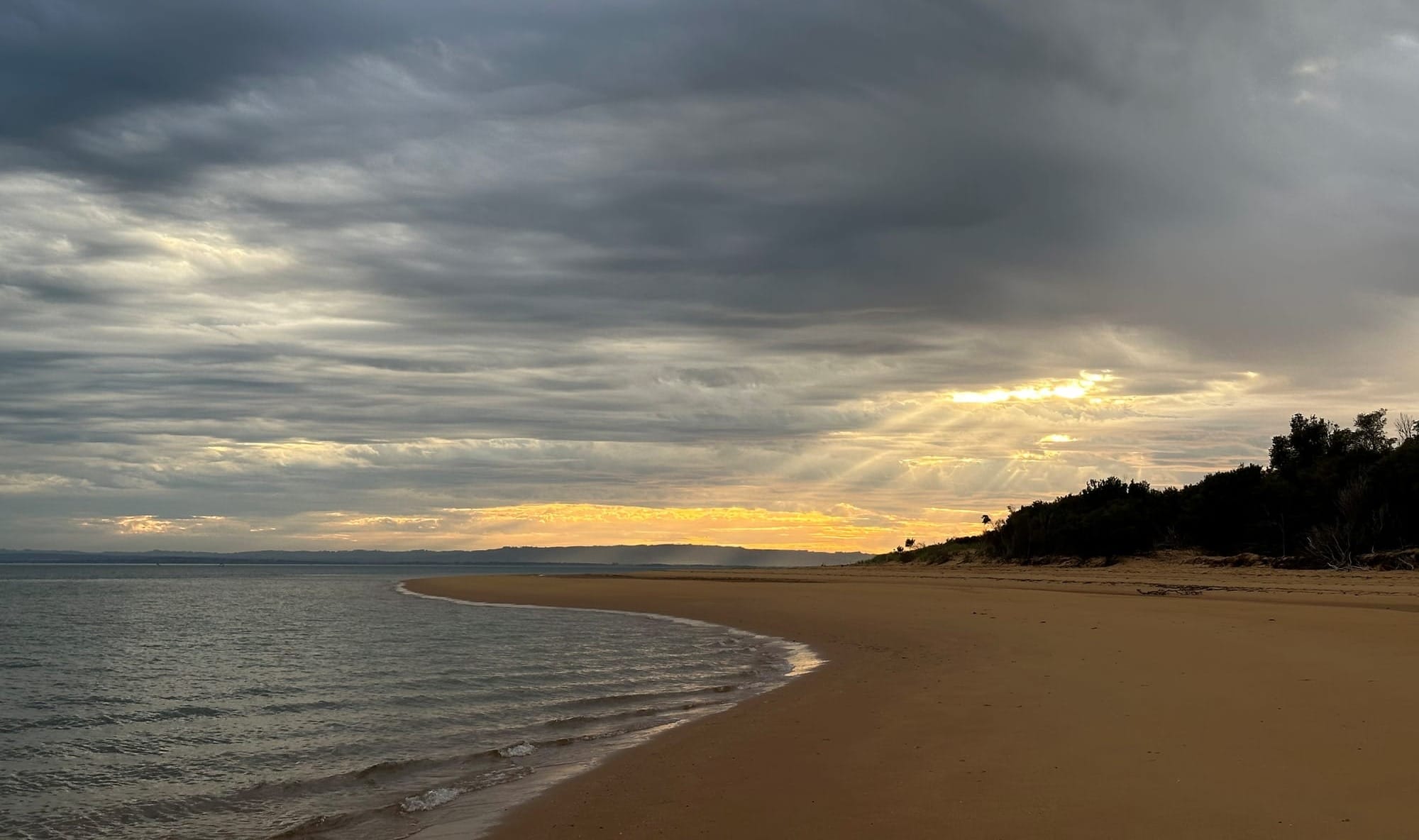 Summer rain recovers thanks to February showers