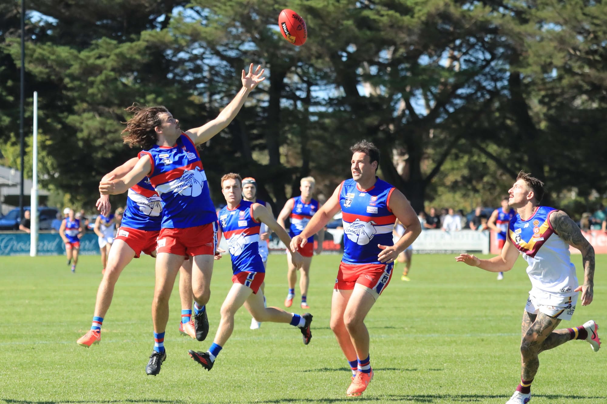 Seniors - Bulldogs v Warragul