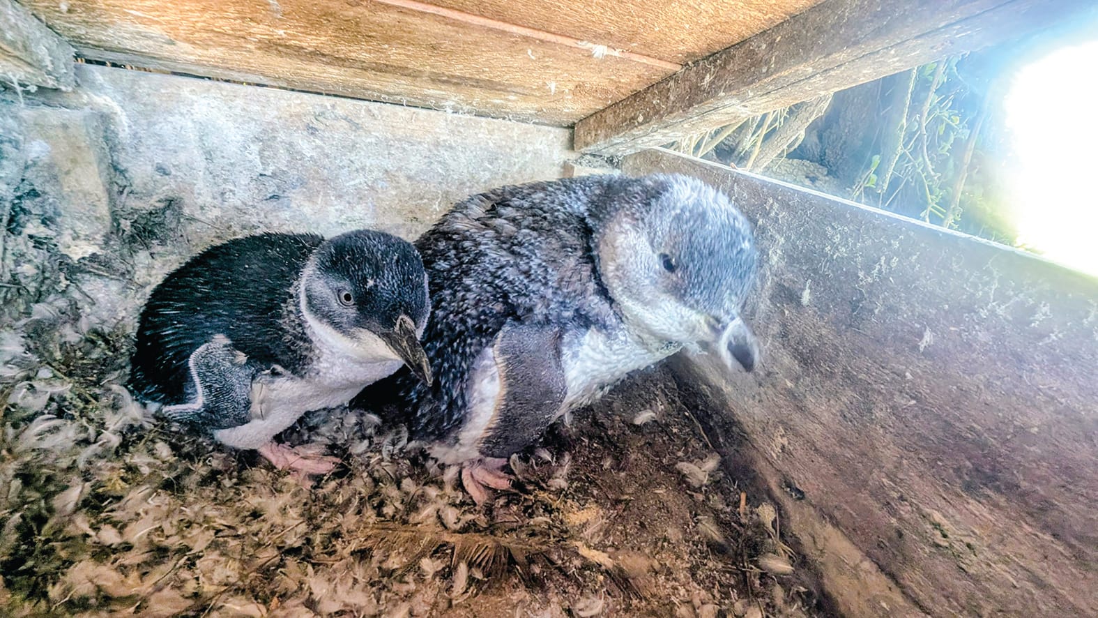 Know Your Nature Parks - Autumn 2026