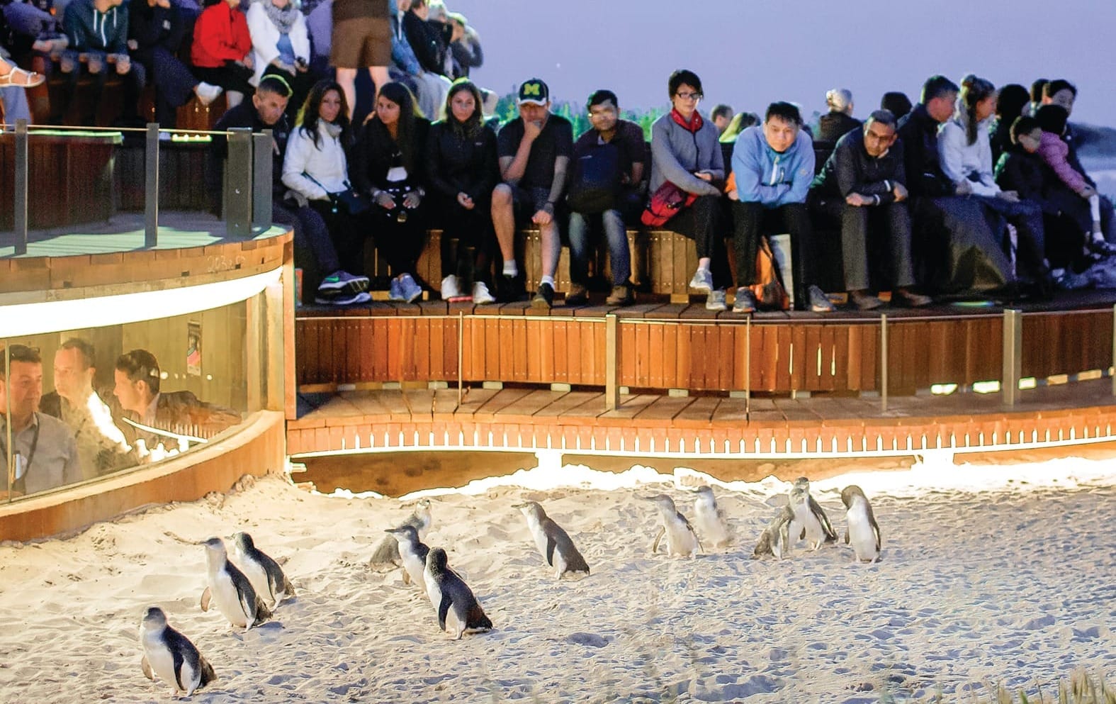 Fuel uncertainty but penguin power strong