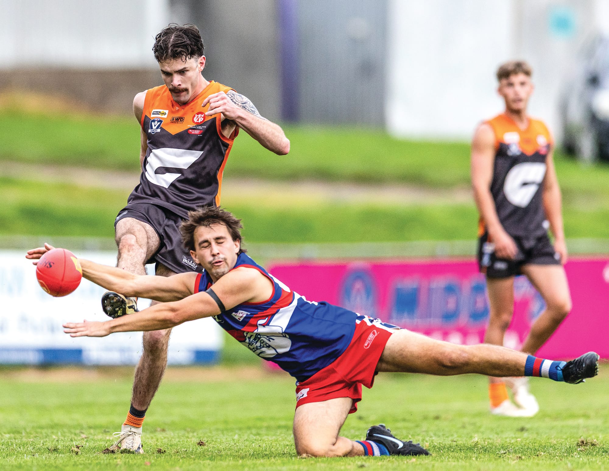 Bulldogs continue winning form - Seniors