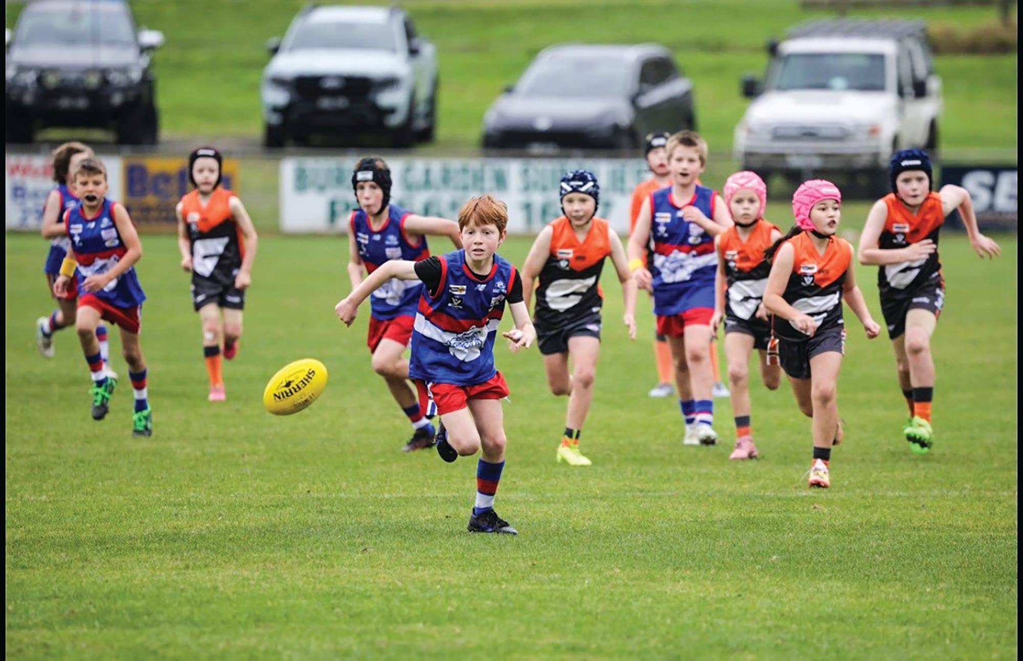 PI Blue v Korumburra