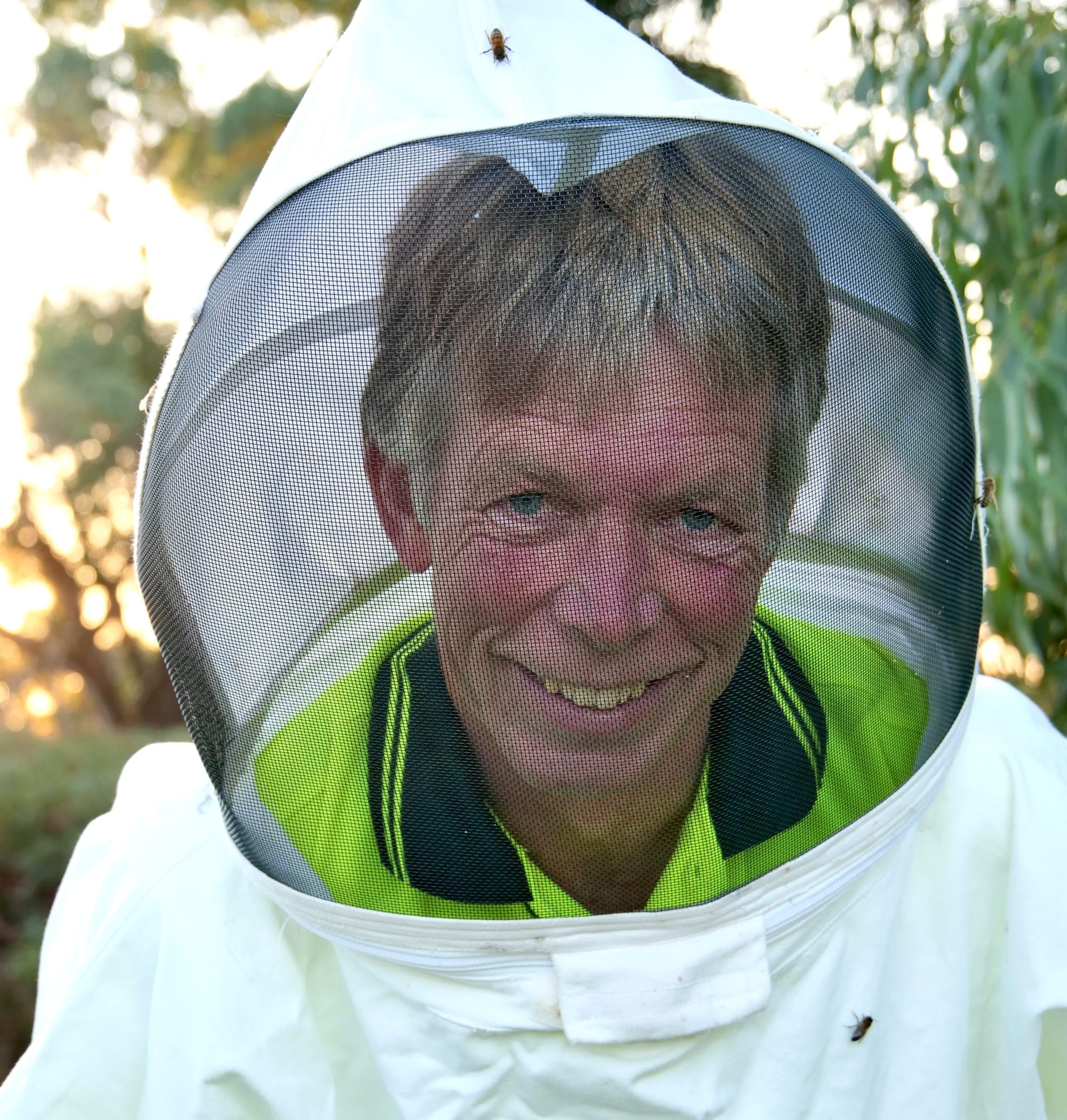 Bee killing parasite detected at  San Remo