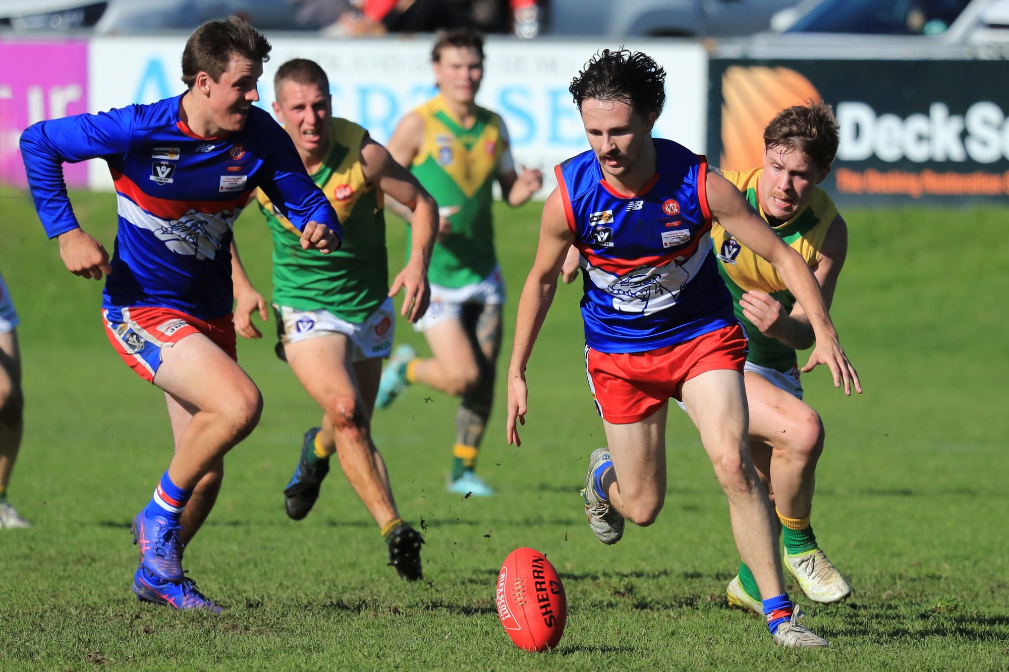 Another win for the doggies - Reserves
