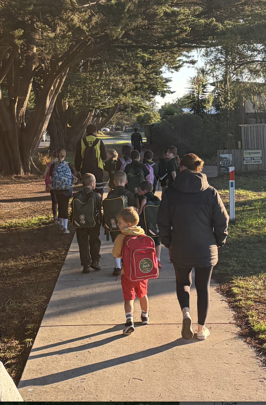 Walk safely to school day
