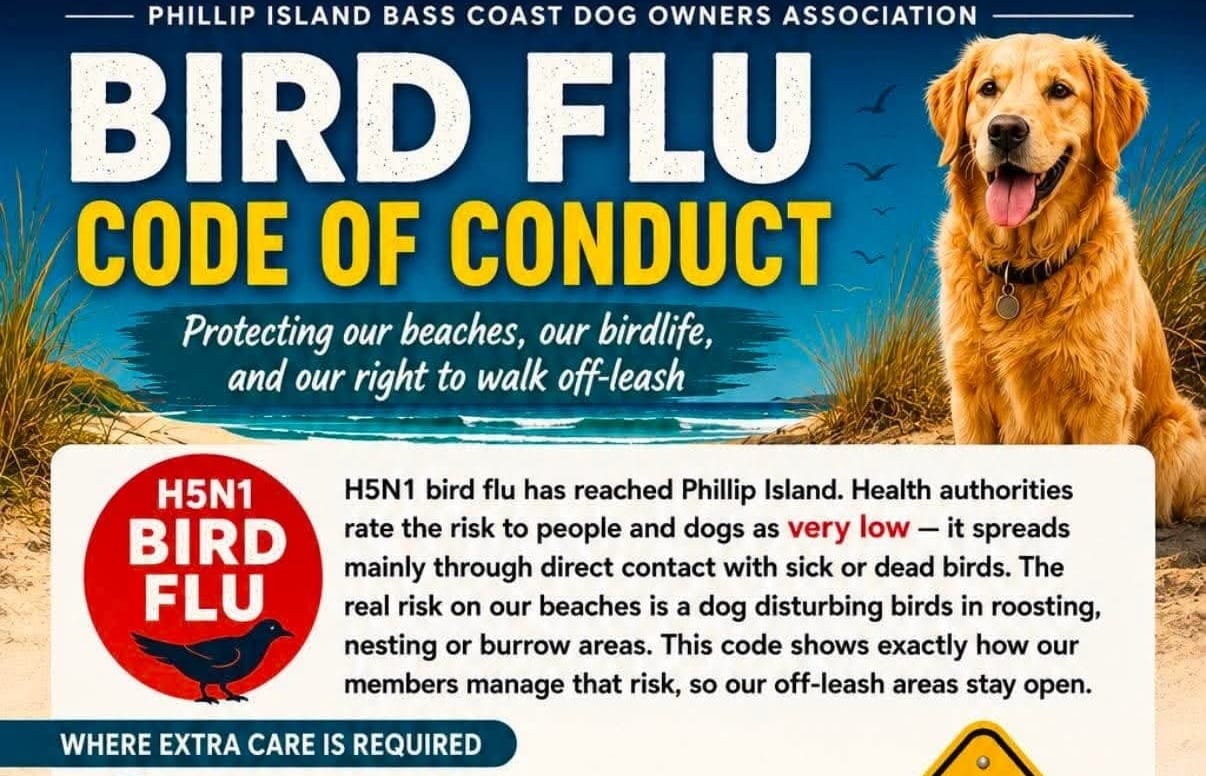 Code for dog protection