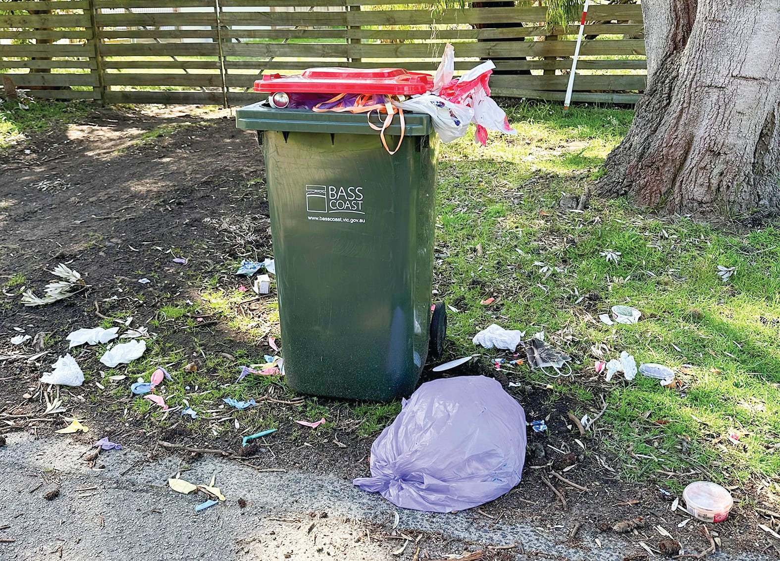 Weekly red bin collection pledged