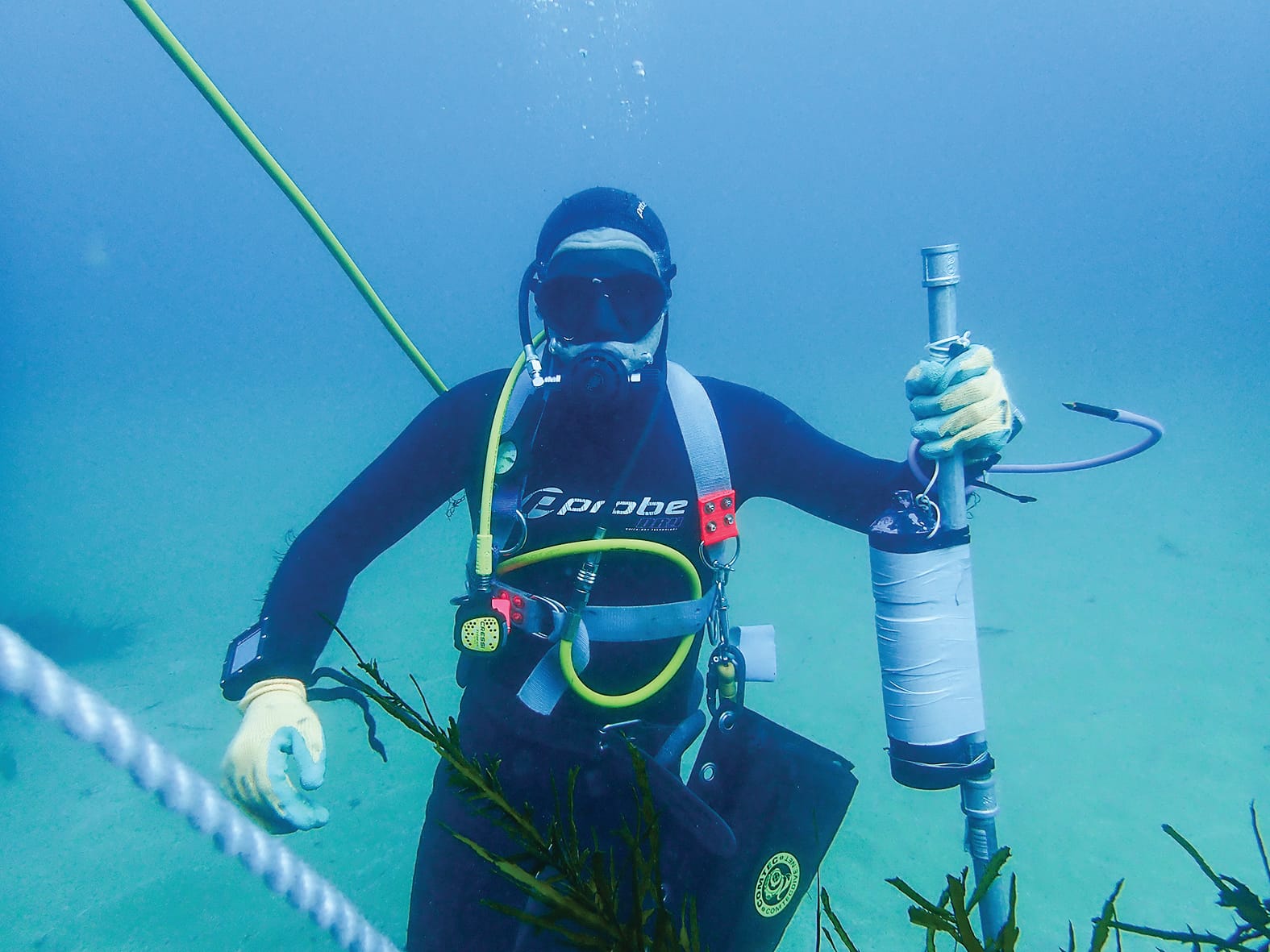 Surfer, shark expert's insights on chance of great white interactions