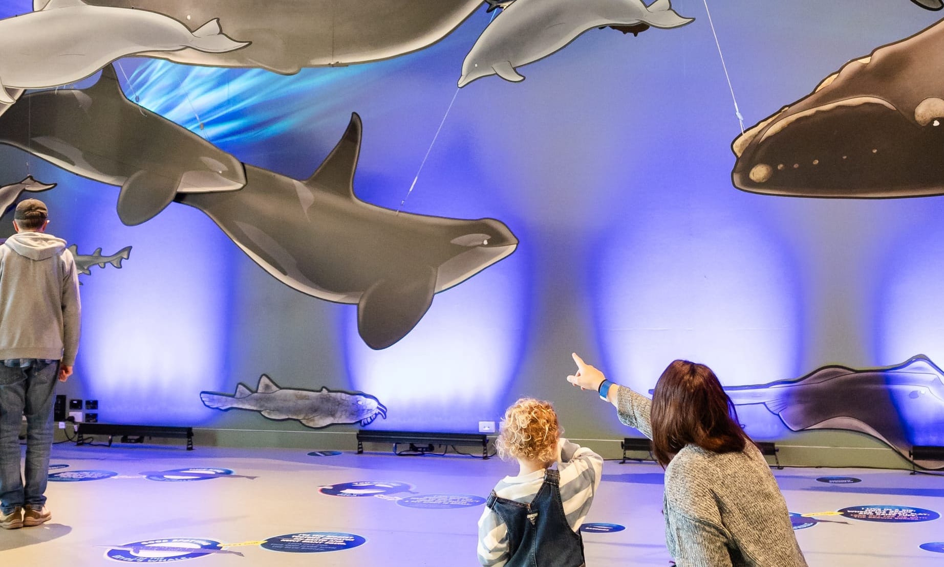 Whale Festival goes for back-to-back gold