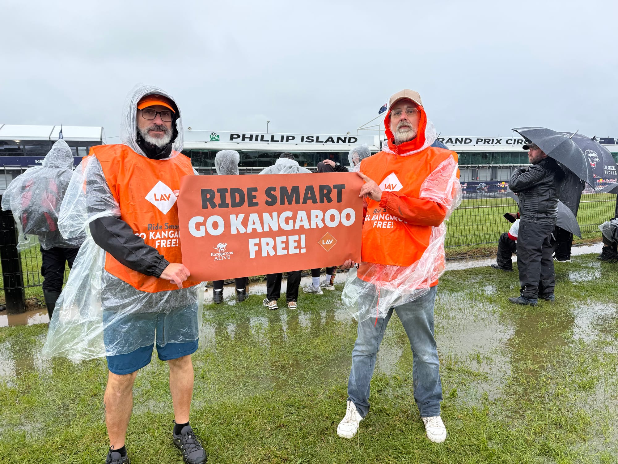 Skins, suits and slaughter: the cost of a motorsport suit