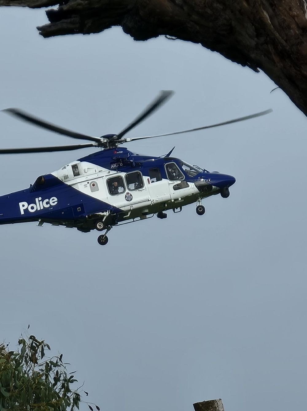 Police search for trespasser at Ventnor post image