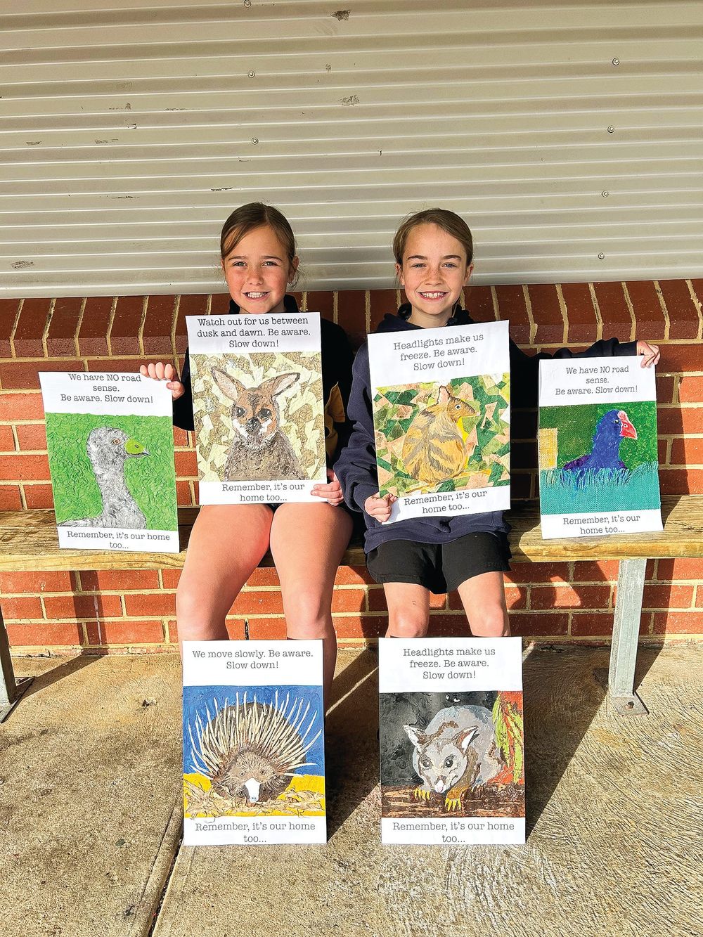 Primary students call on motorists to stop roadkill post image
