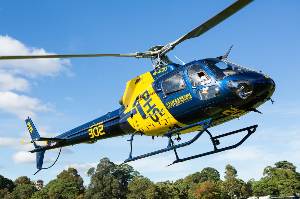 Choppers check out electricity poles post image