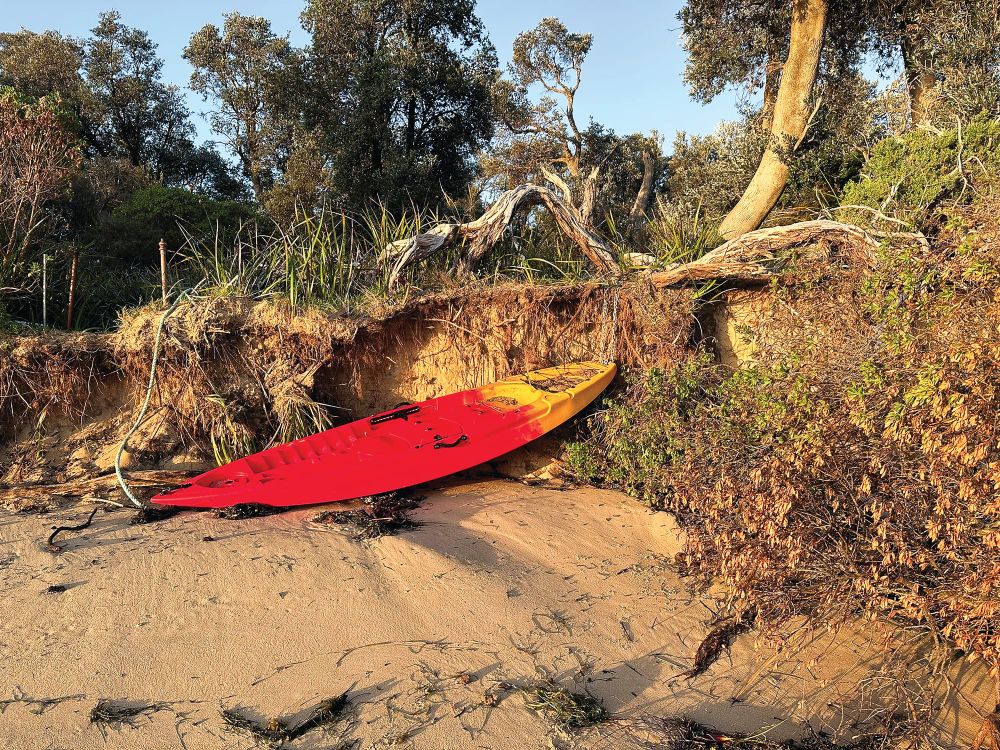 Candidate survey: Silverleaves Conservation Association post image