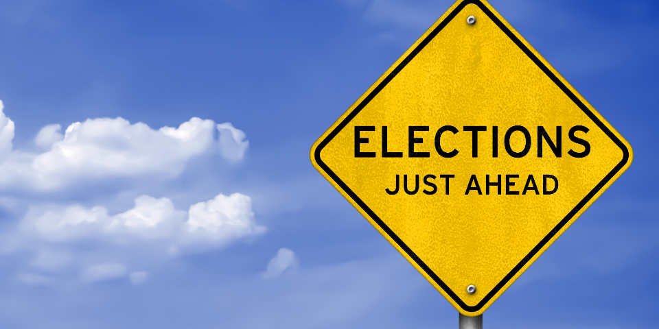 Council election to go ahead post image