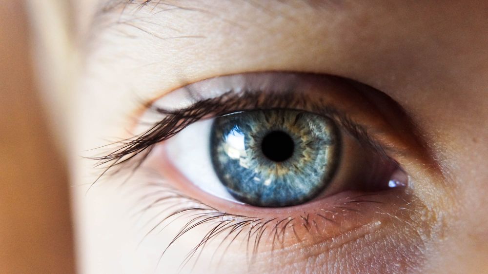 Free sight support expo in Cowes this week post image