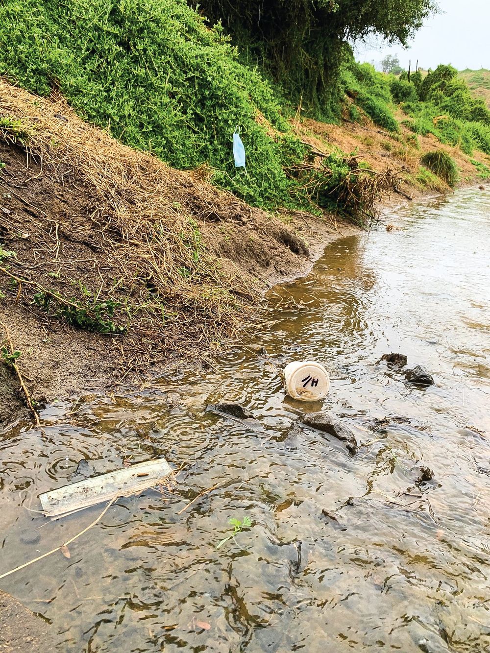 No masking the problem – our wildlife at risk post image