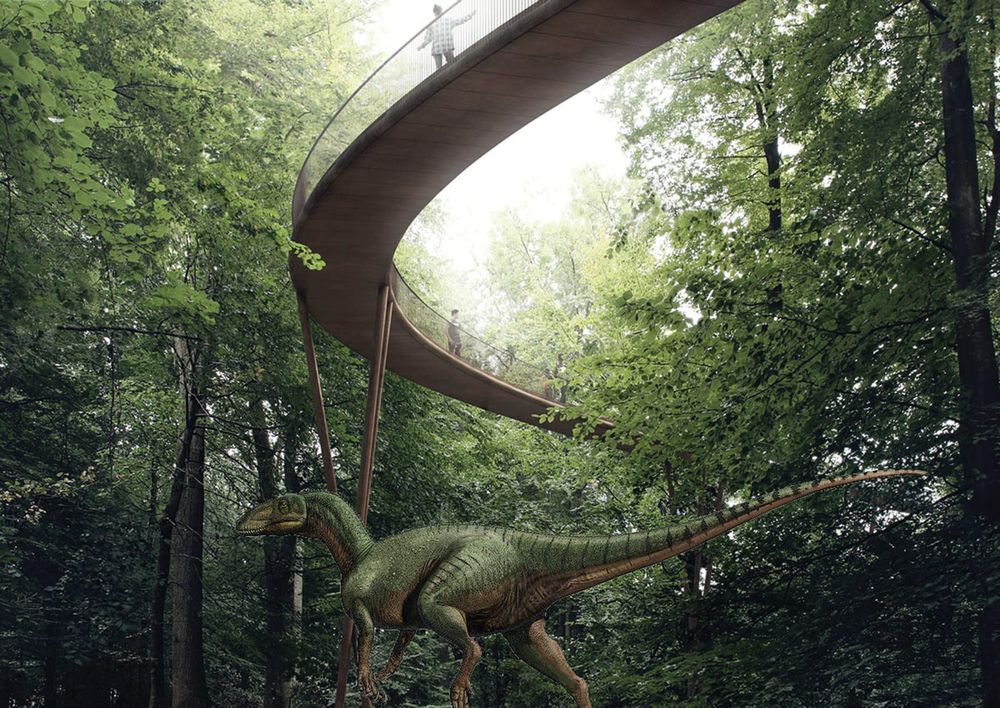 Plans revealed for Dinosaurs Trail post image