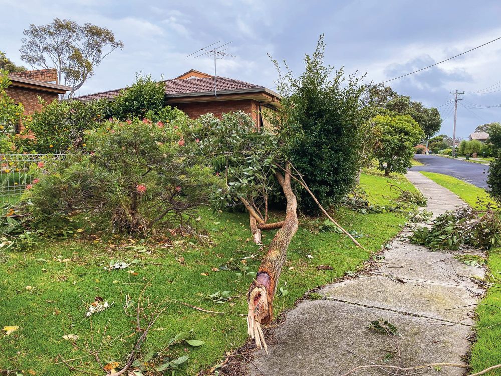 Wednesday night storm hits hard post image