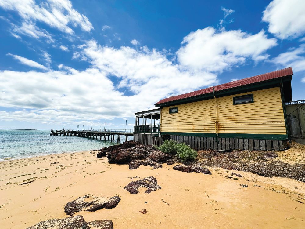 Jetty Shed's future under review post image