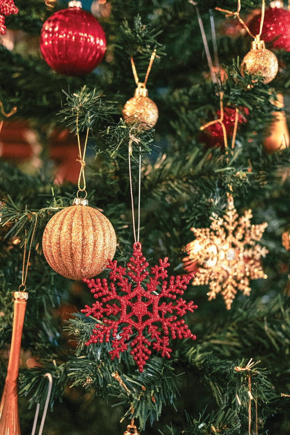 Warm up this winter with Christmas in July promotion post image