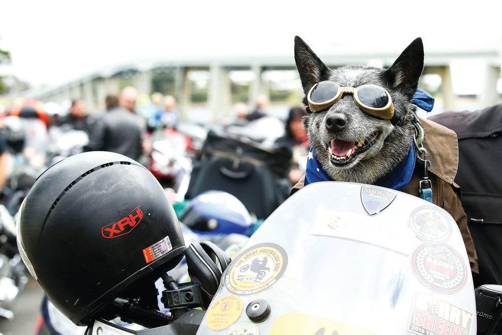 Sheene on you crazy diamond post image