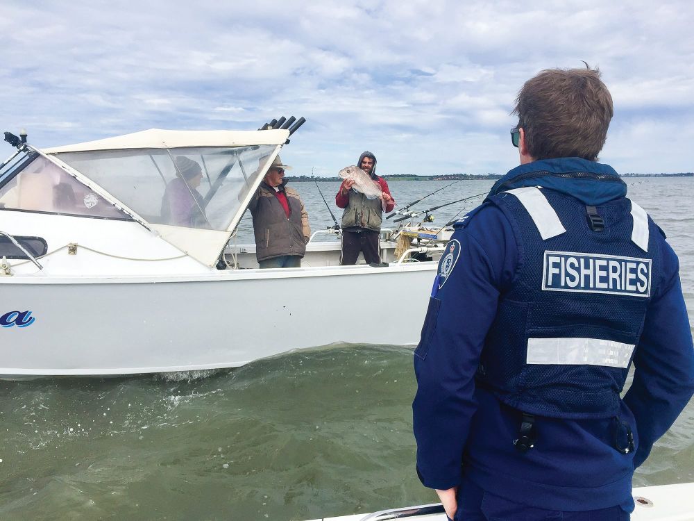 Abalone in a bra: illegal fishing on the rise post image