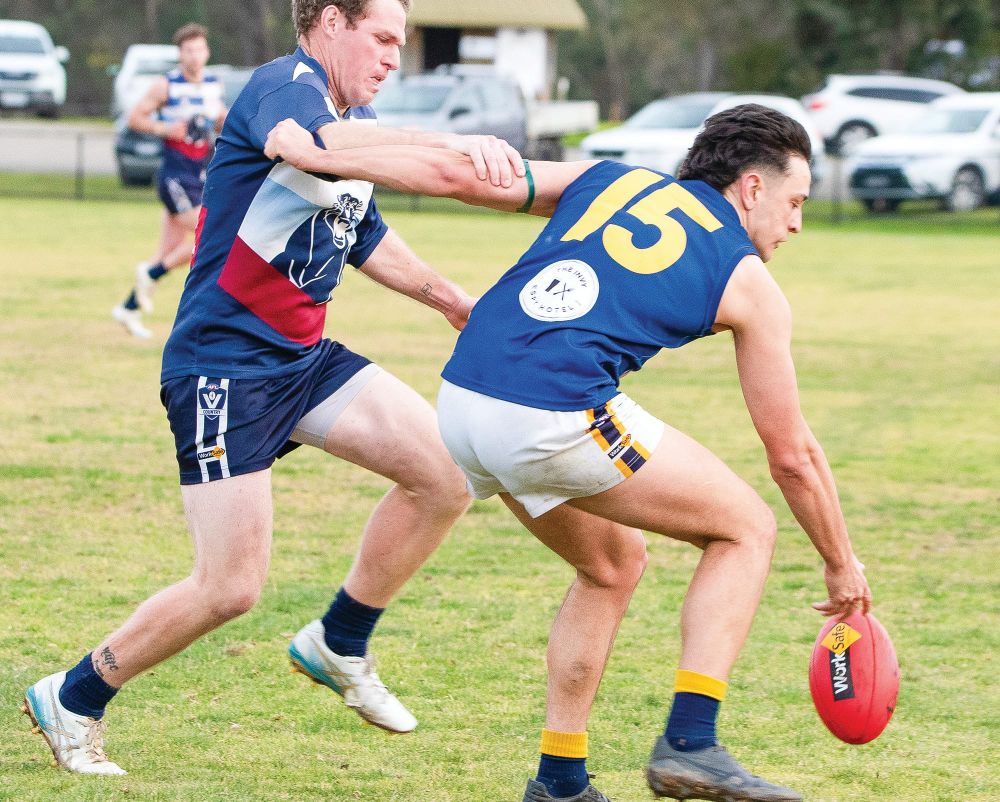 Challenging clash for Kilcunda Bass post image
