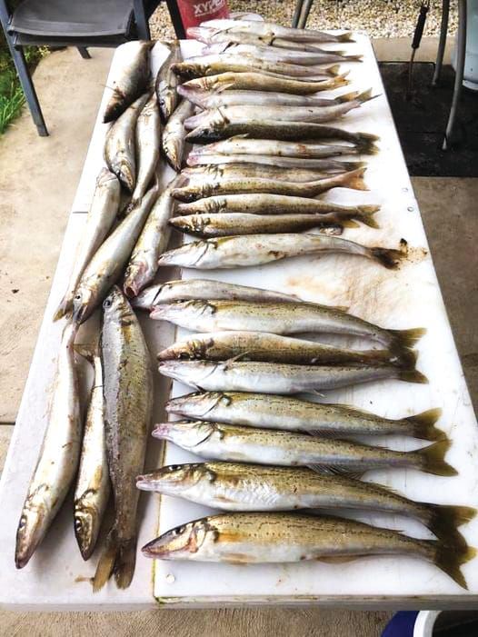 Fishing report post image