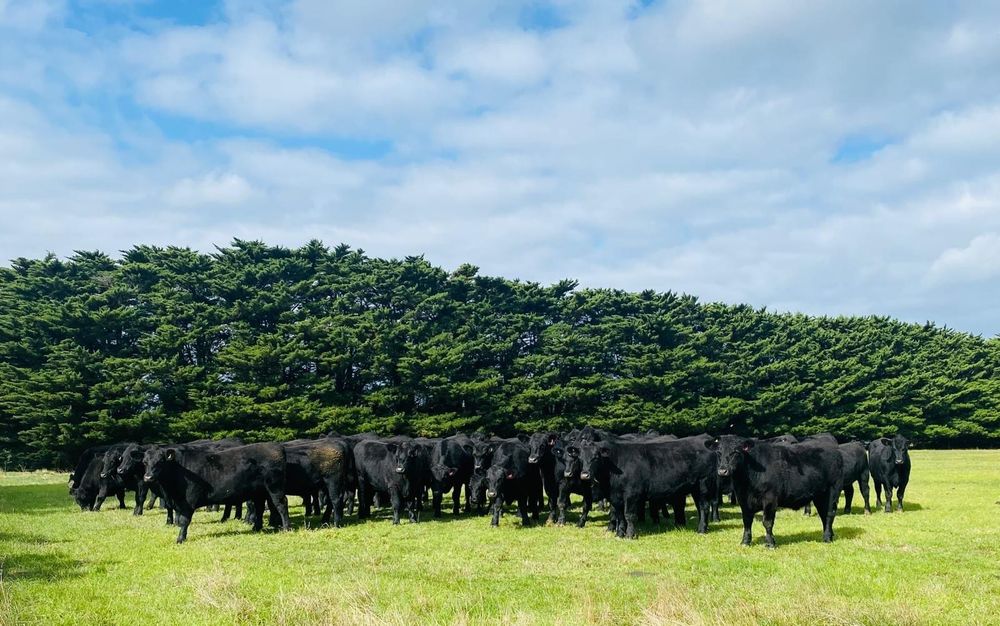 Low rain means farmers fork out post image