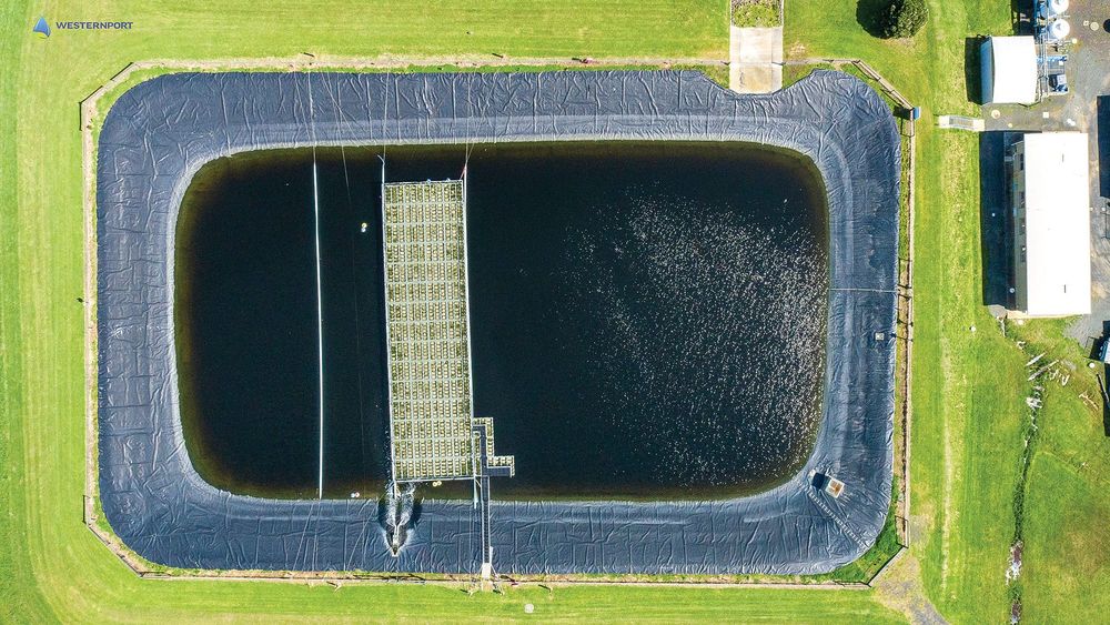 Household water use surges post image