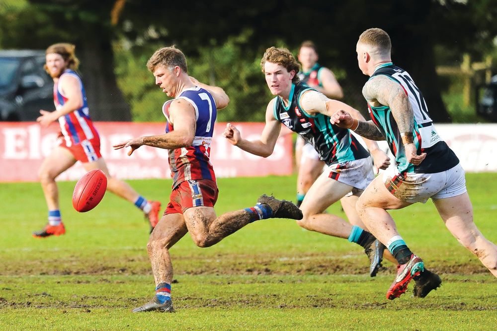 Reserves - Cobras’ sting no match for Bulldogs’ bite post image