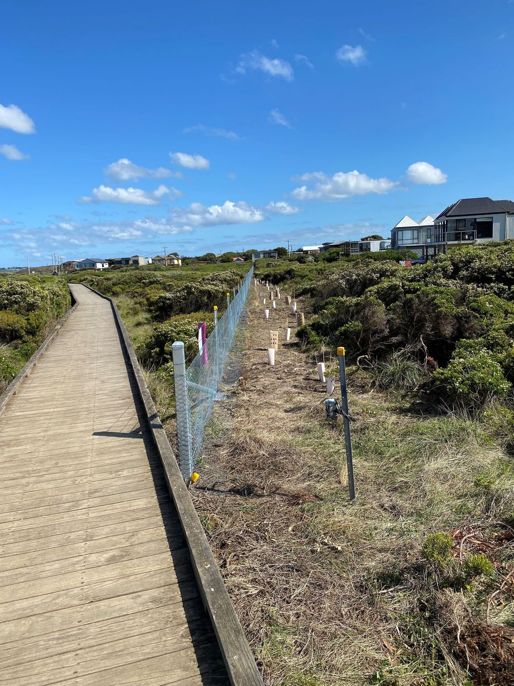 Tracks and trails strategy - priorities for Phillip Island post image