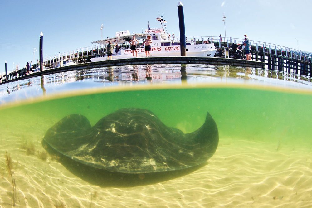What lies beneath post image